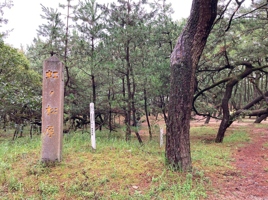 Nijino Matsubara景点图片