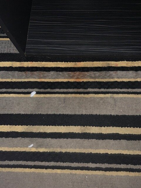 La Quinta by Wyndham Jackson Airport主图