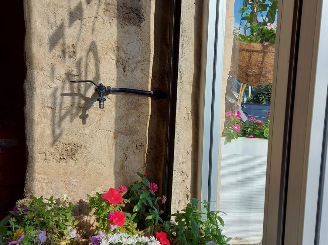 Tel-Aviv Lala Hotel主图