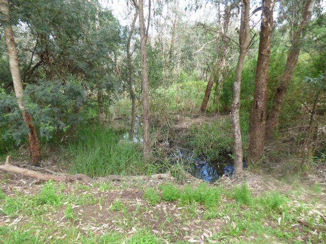 Yea Wetlands-Yea必去景点