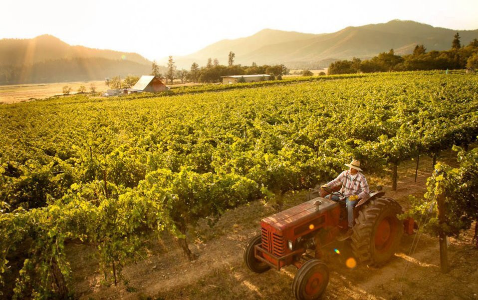 Valley View Winery-Jacksonville必去景点