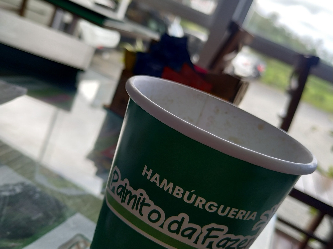 Palmito da Fazenda-Registro必去景点