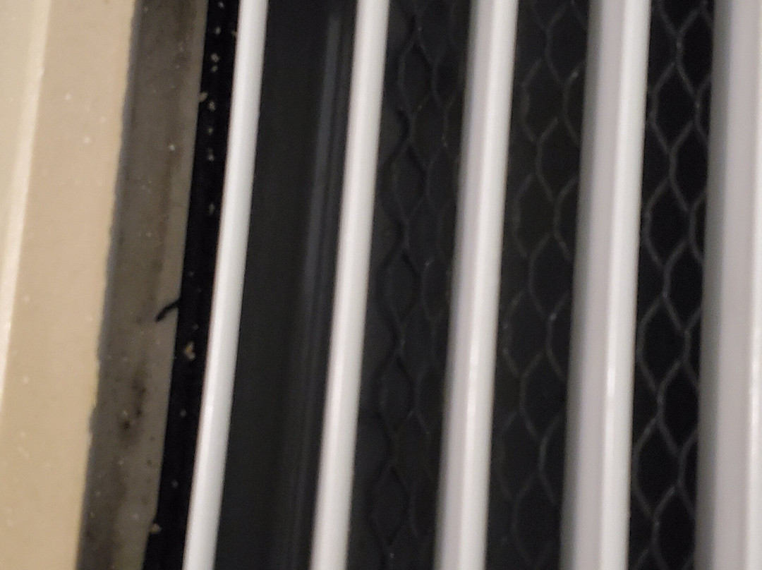 Best Western Plus Bradford Inn主图