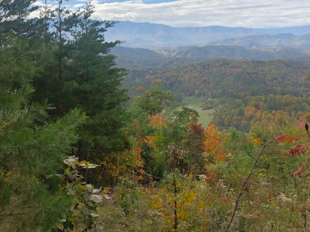 Smoky Mountain Adventure Tours景点图片