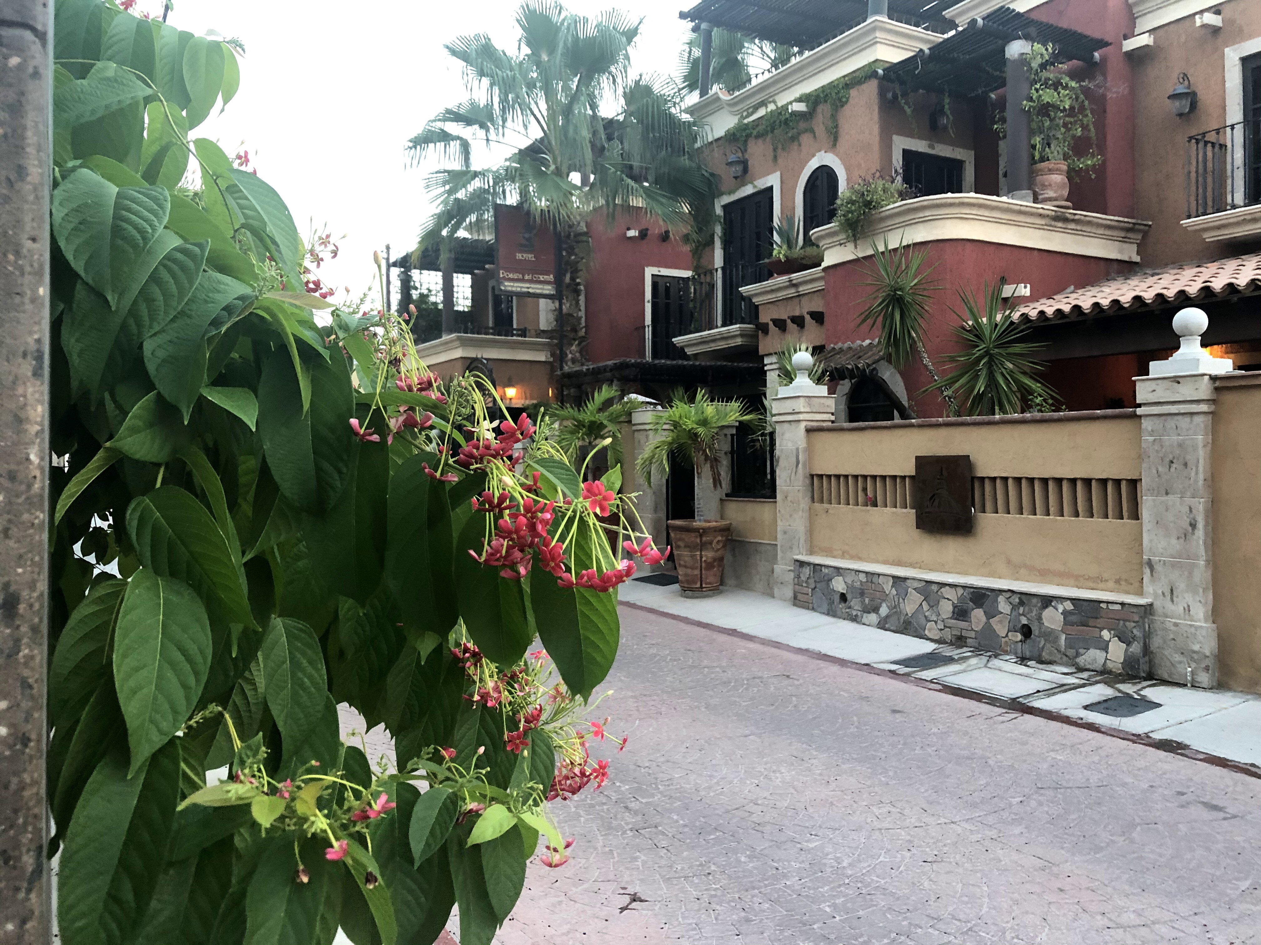 Posada del Cortes Hotel-官方