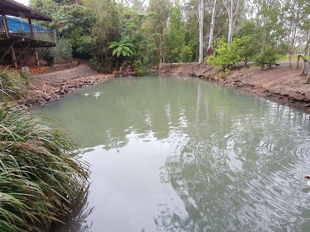 Platypus Park- 阿瑟顿必去景点