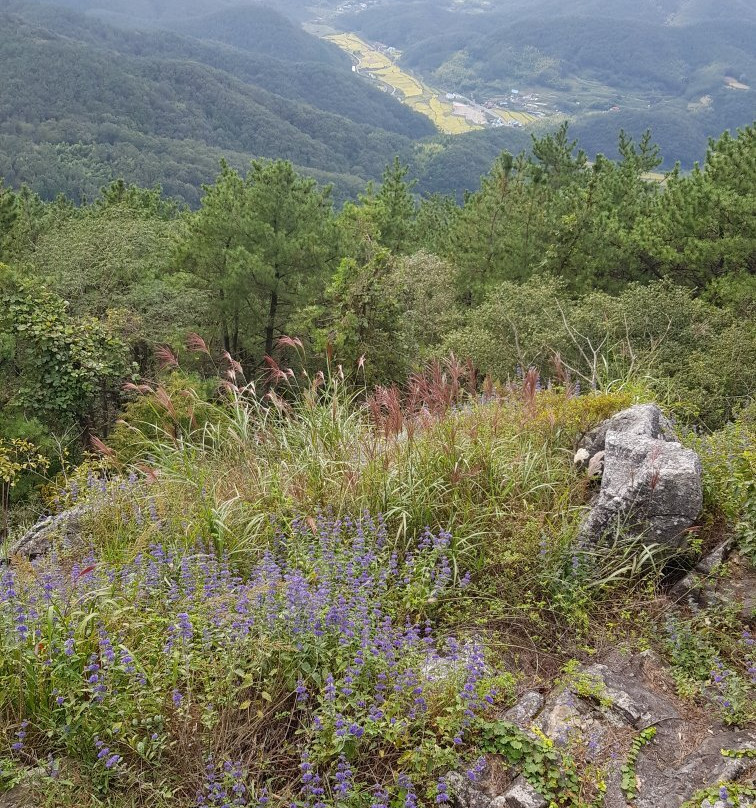 Daegeumsan-巨济市必去景点