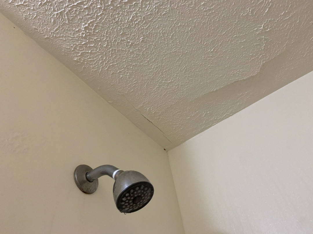 M22 Inn - Suttons Bay主图