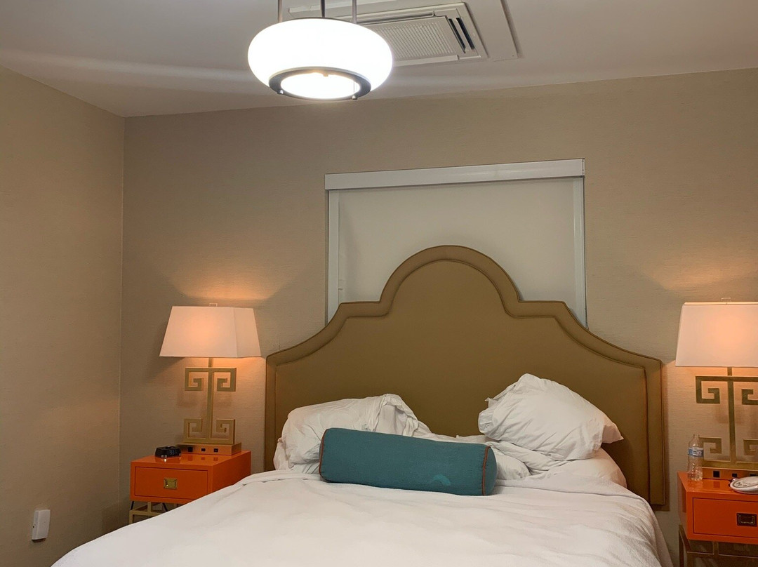 The Collegiate Hotel主图