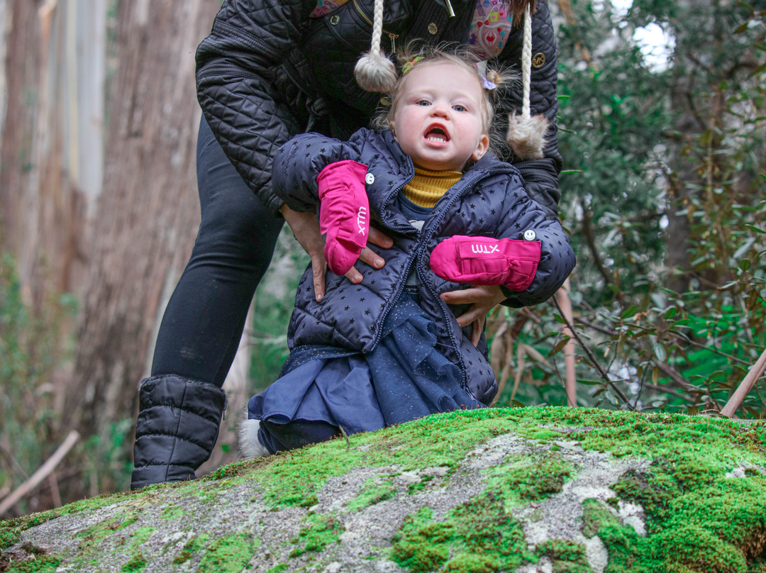Mushroom Rocks-Erica必去景点