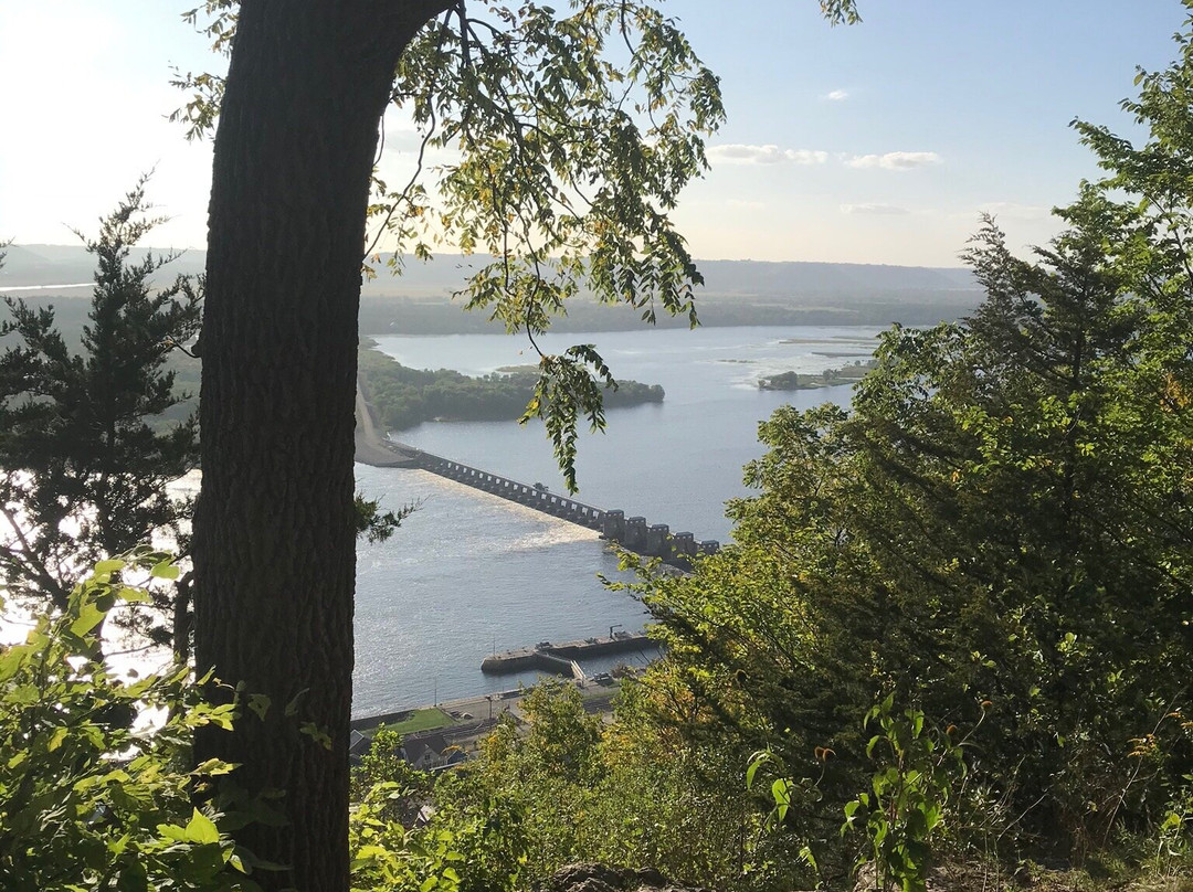 Buena Vista Park景点图片