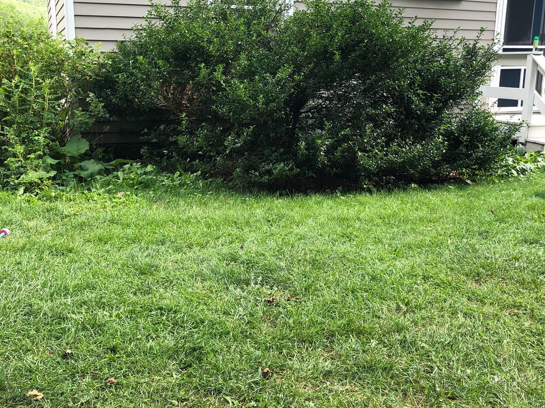 Scudder Hill House Bed & Breakfast主图