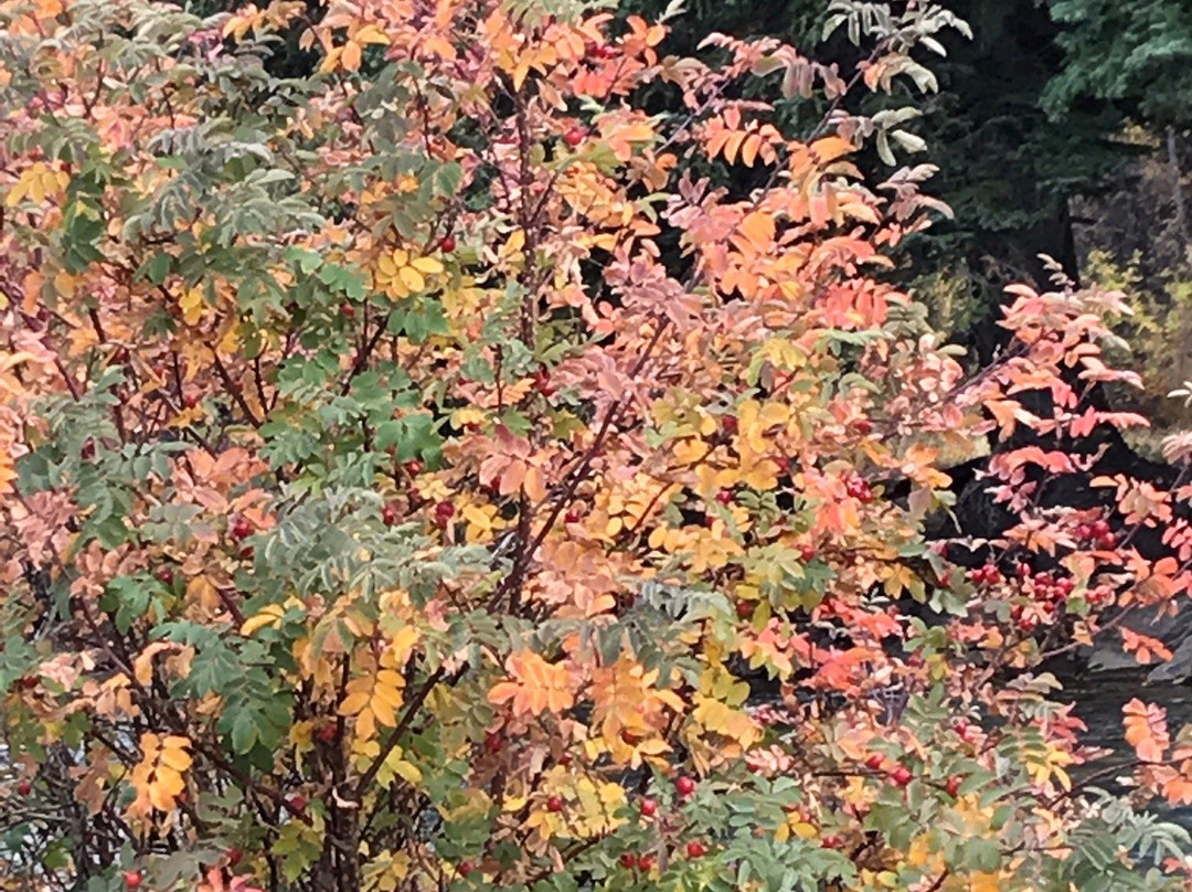 Aspen Peak Cellars-Bailey必去景点