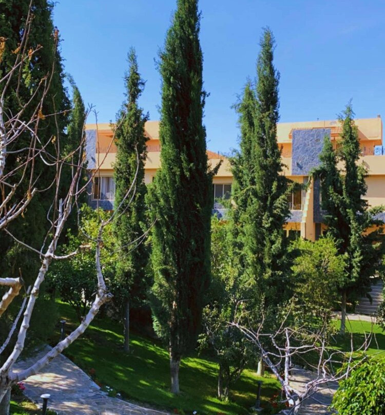 Al Wadi Touristic Resort主图