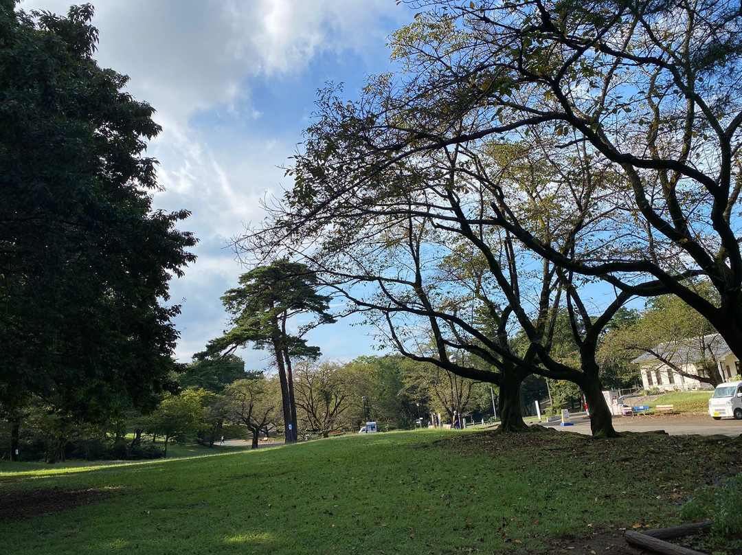 Sayama Inariyama Park-狭山市必去景点