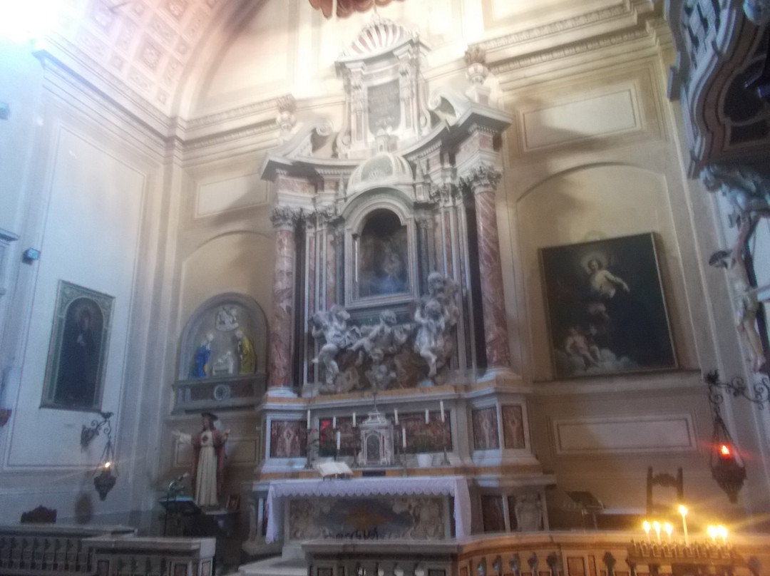Cattedrale dei Santi Pietro e Francesco景点图片