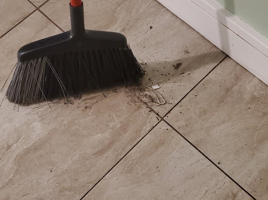 Catalina Court主图