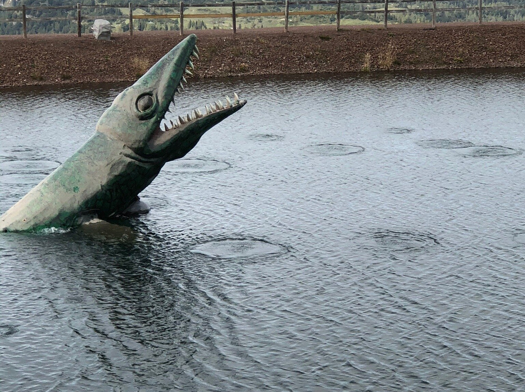 Bergbahnen Steinplatte Waidring-瓦埃德令必去景点