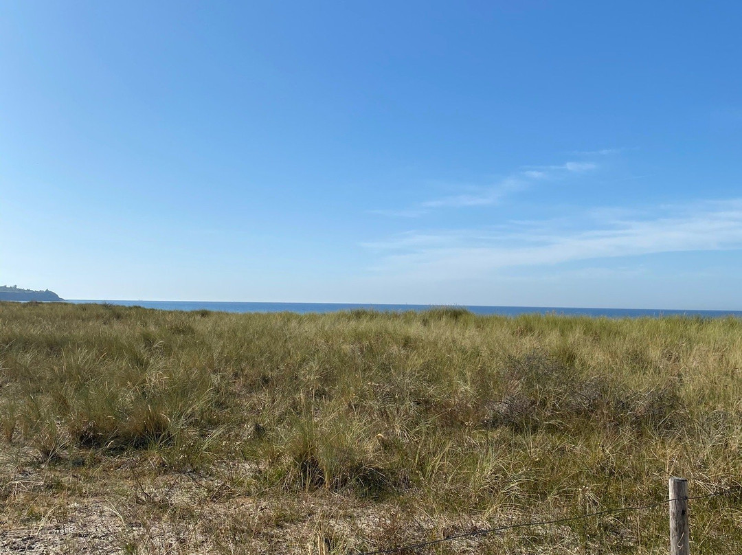 Ostsee-Strand Von Rerik景点图片