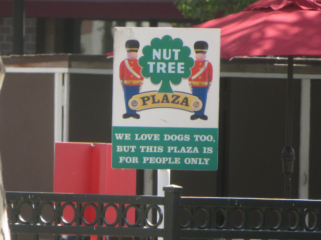 Nut Tree Plaza-瓦卡维尔必去景点