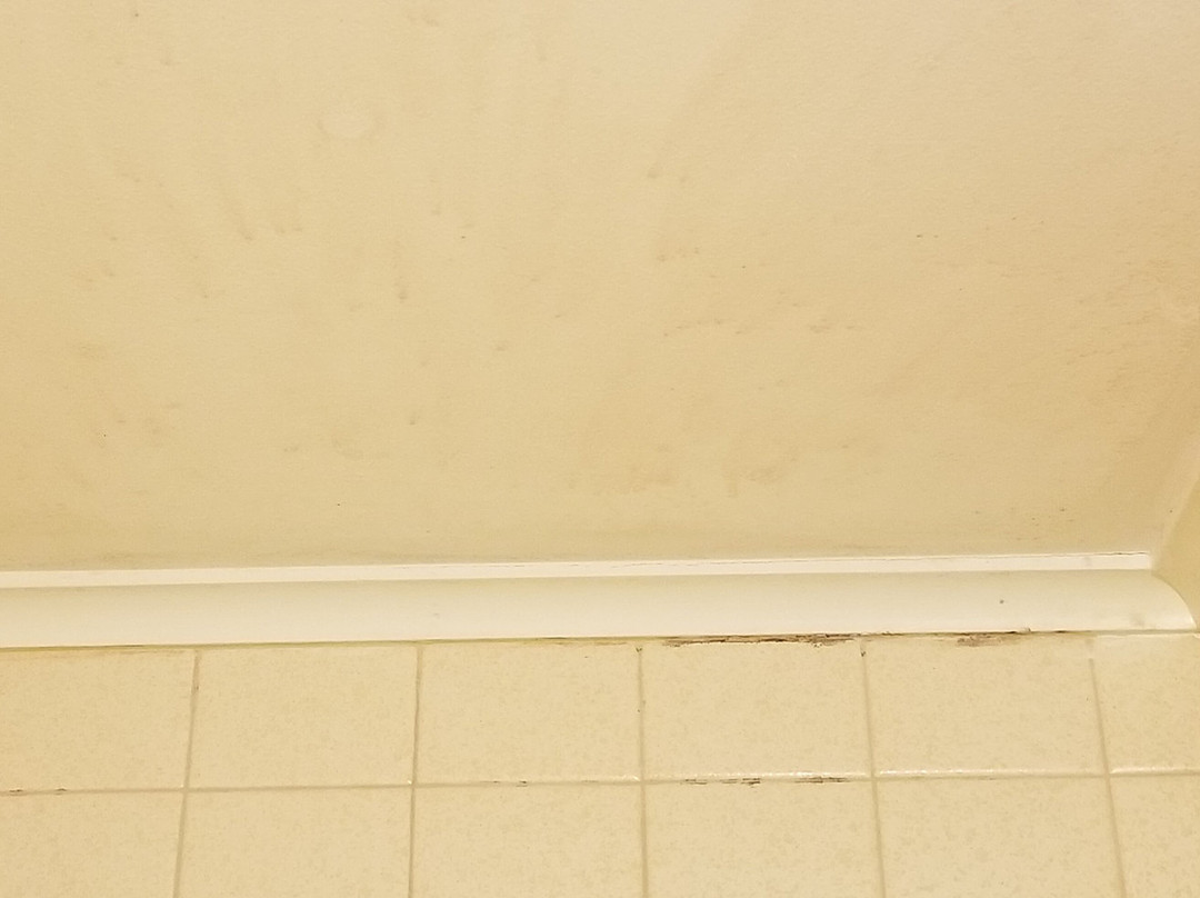 M22 Inn Empire主图