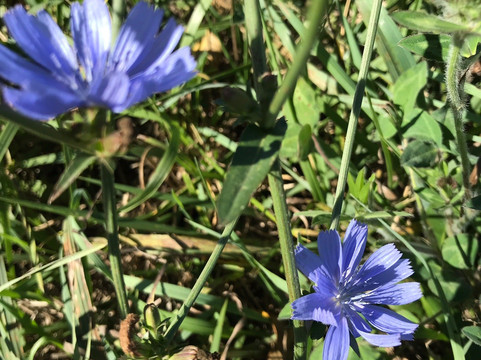 Lincoln Trail Homestead State Park & Memorial-Mount Zion必去景点