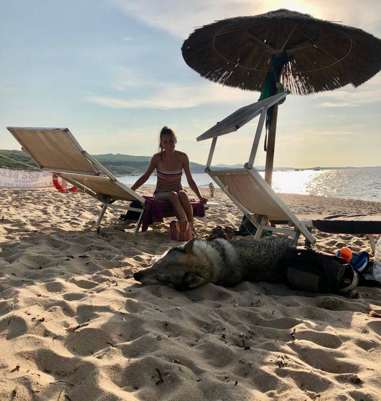 Lido Dog Beach-Aglientu必去景点