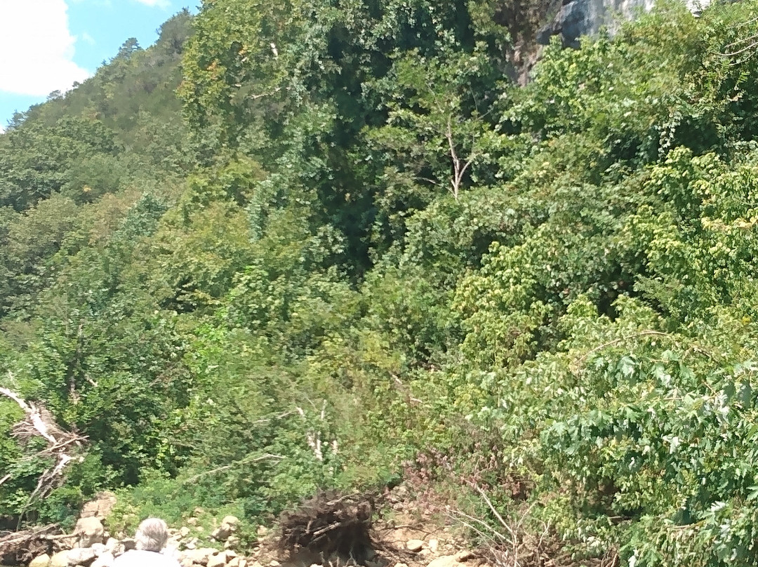 Wild Bill's Outfitter-阿肯色州必去景点