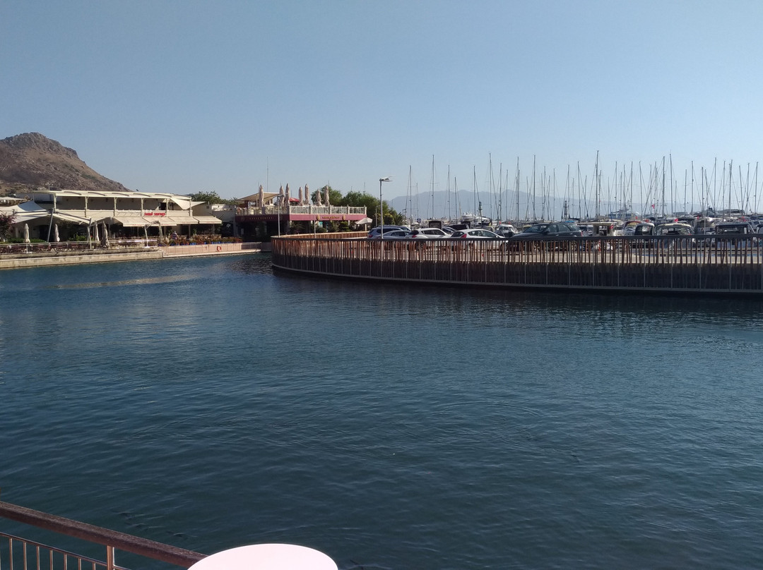 D-Marin Turgutreis景点图片