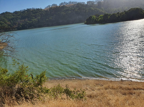 Anthony Chabot Regional Park-卡斯特罗谷必去景点