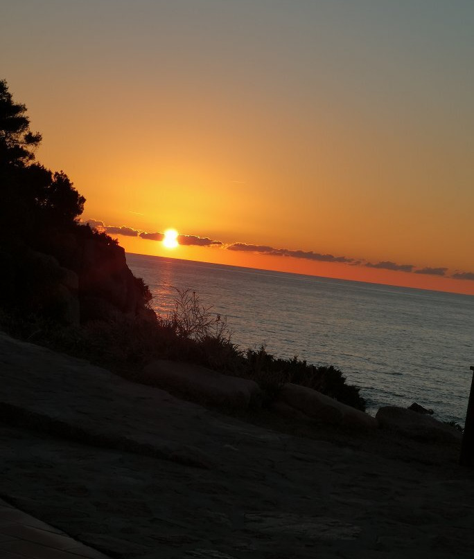 Baraonda Lounge Bar-Costa Paradiso必去景点