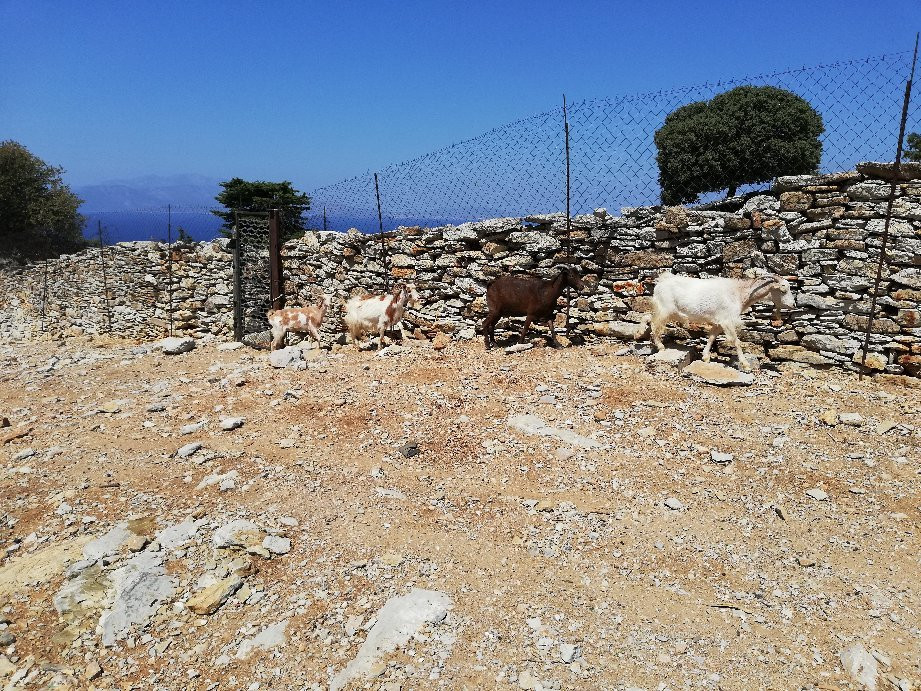 Toli Bay-Symi必去景点