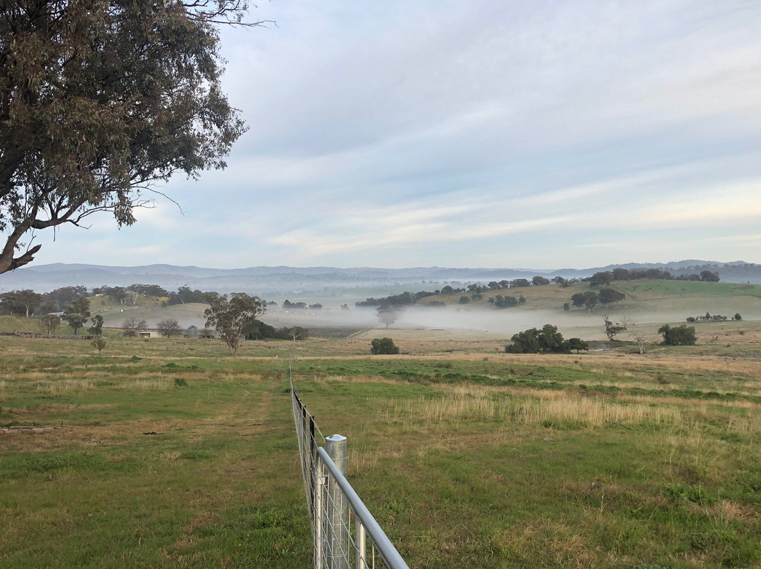 Rosby Guesthouse主图