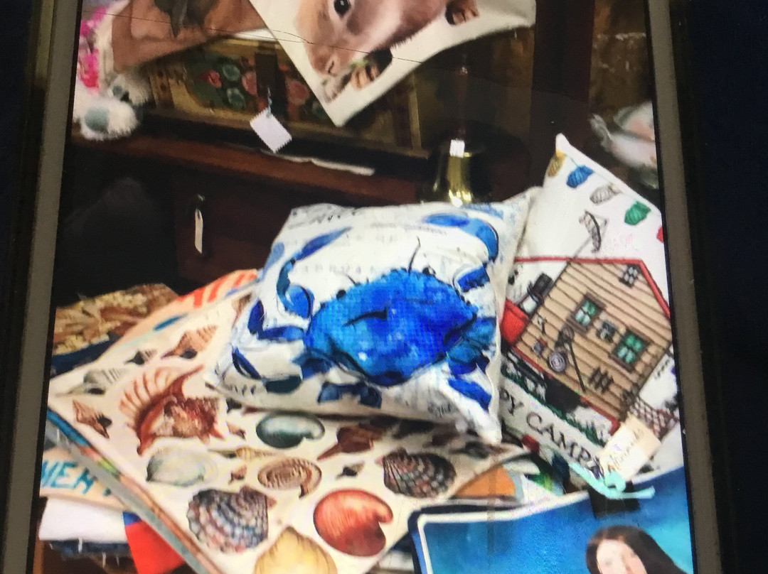 Goldilocks Antiques-布鲁金斯必去景点