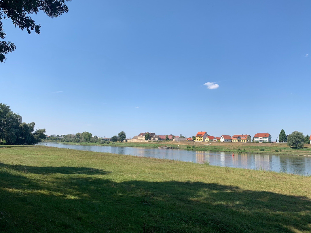 Stadtpark-Riesa必去景点