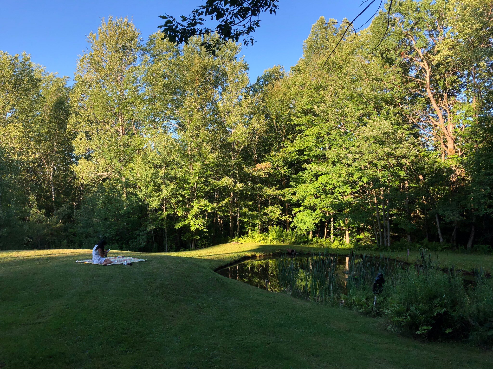 Bromley View Inn-官方