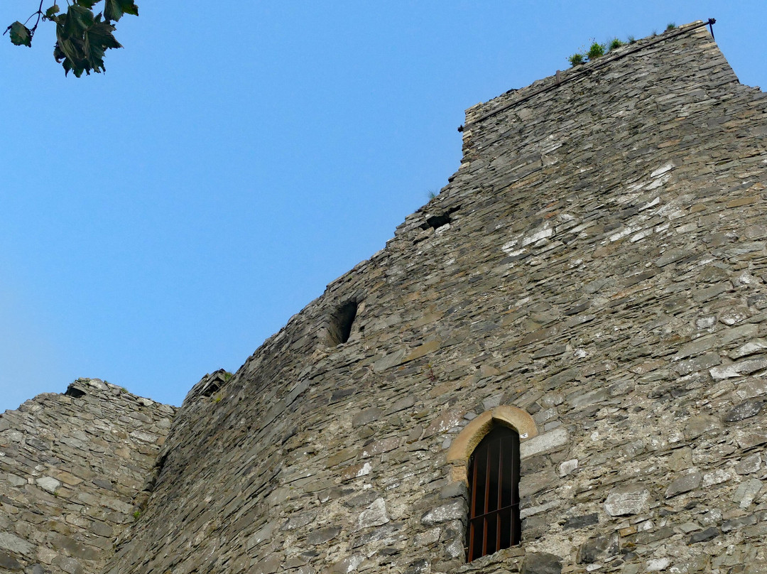 Carlingford Castle景点图片