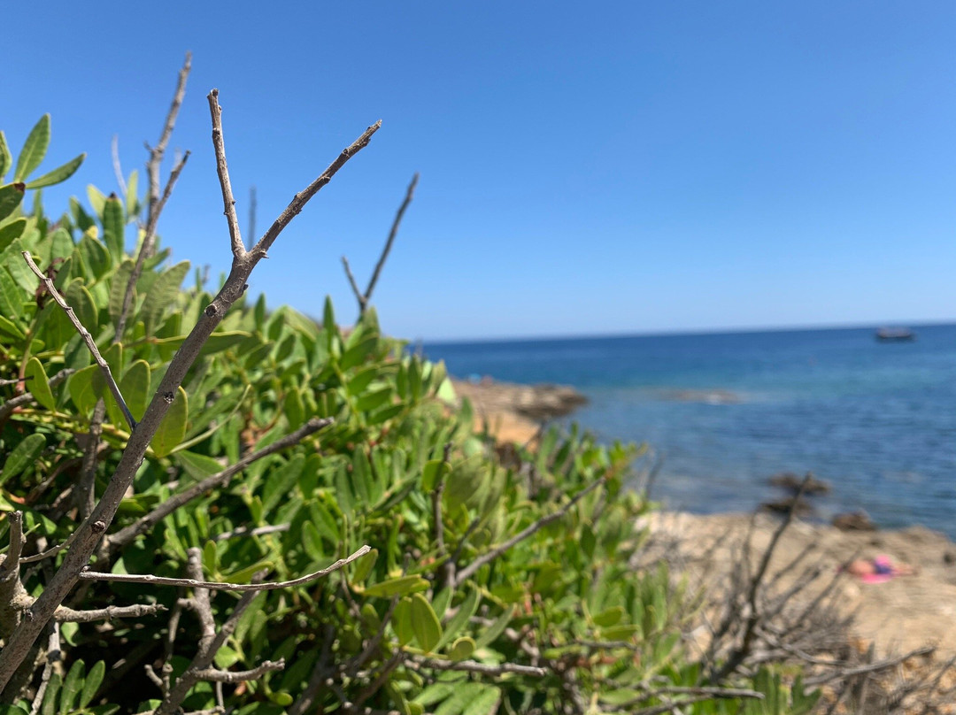 Spiaggia Reale-Porto Azzurro必去景点