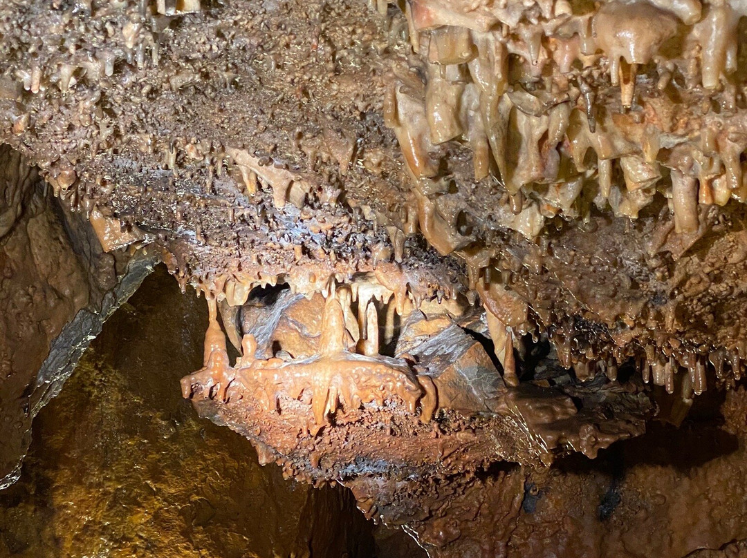 Grotta dei Dossi景点图片