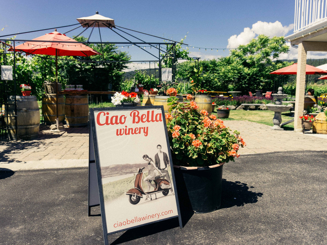 Ciao Bella Winery景点图片