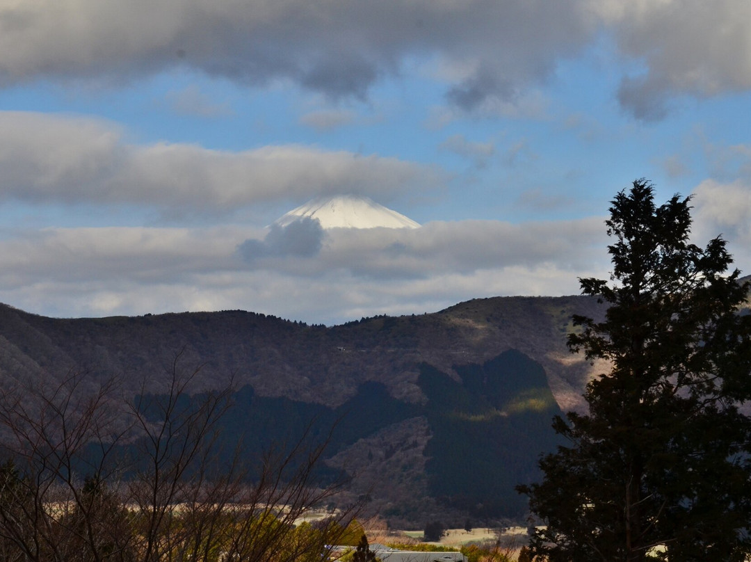 绿色广场酒店主图
