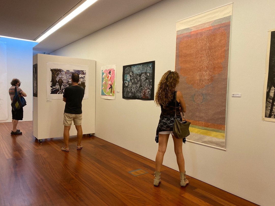 Espaço Miguel Torga景点图片