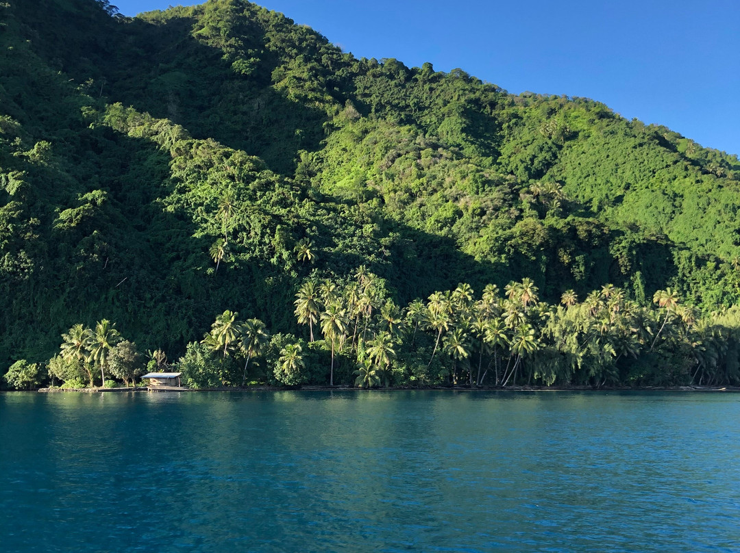 Teahupoo Tahiti Surfari - Day Tours景点图片