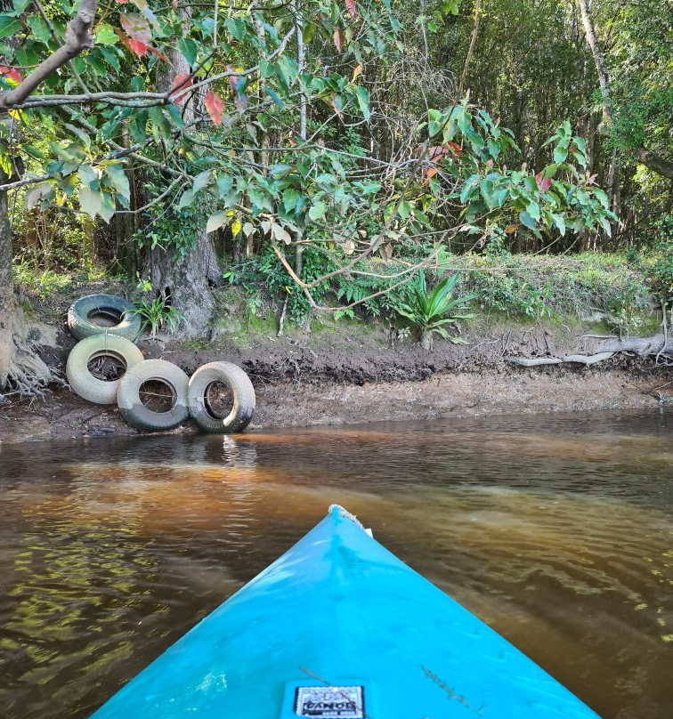 Bellingen Canoe Adventures景点图片