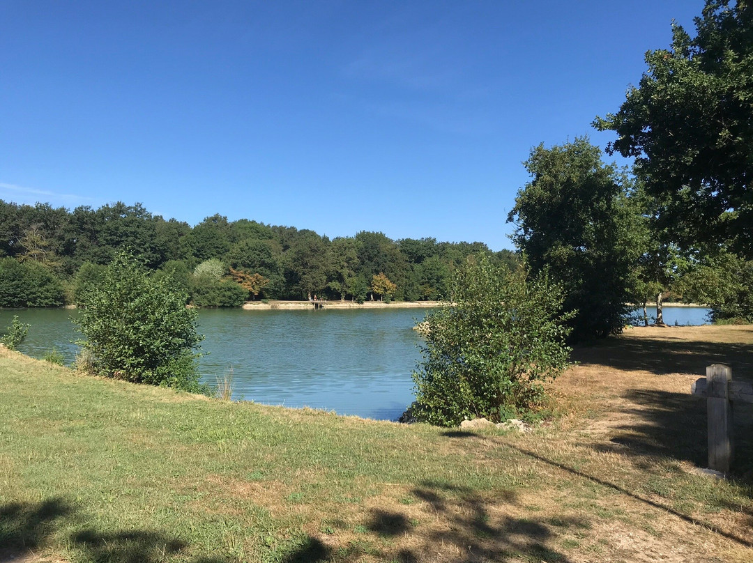 Saint-Nizier-le-Desert旅游攻略图片