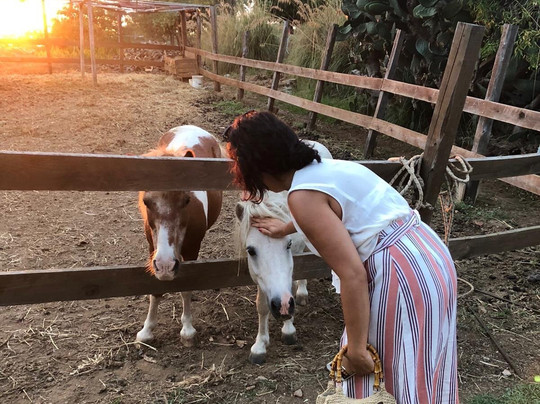 Agriturismo Seaview主图