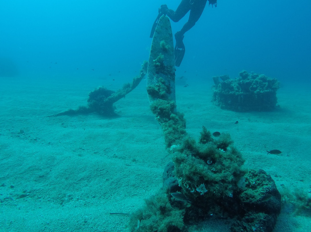 Amaso Dive Center-Agios Kirykos必去景点