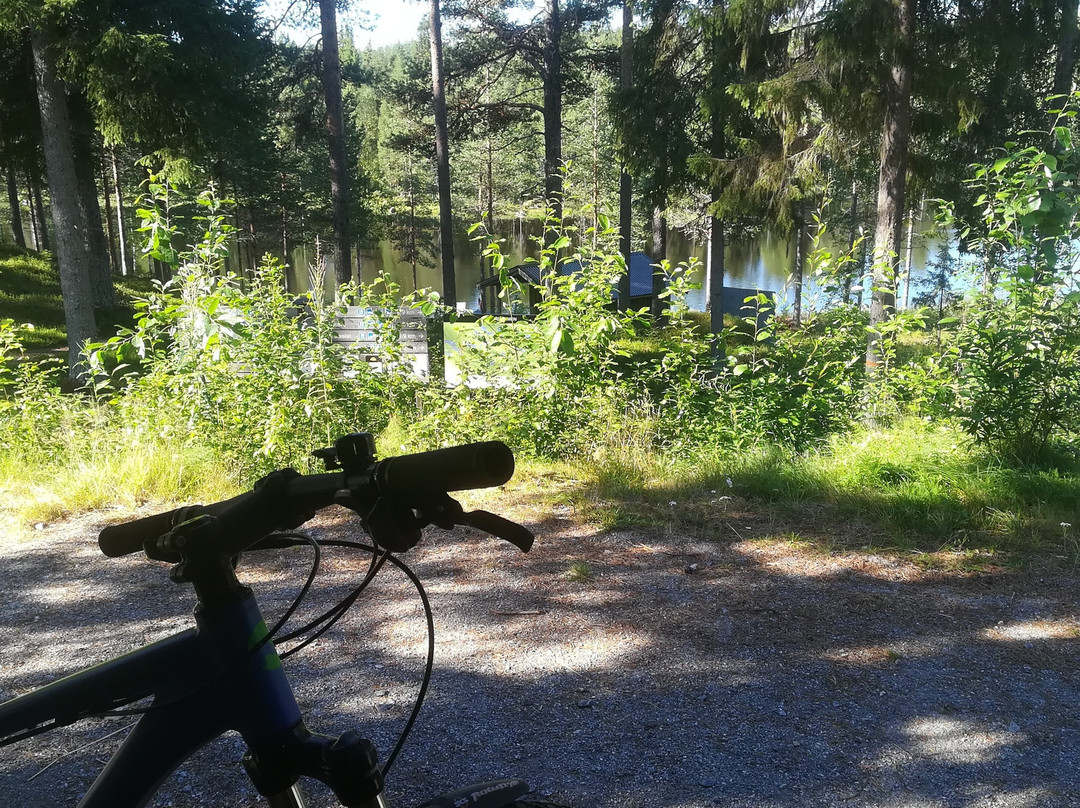 White Mountain Lodge