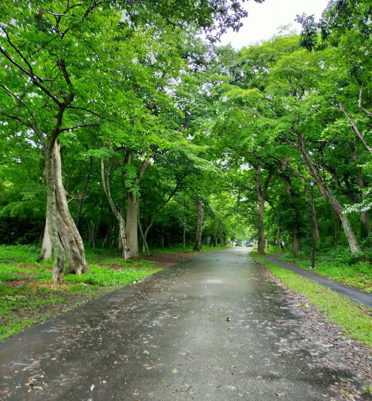 青叶公园-千岁市必去景点
