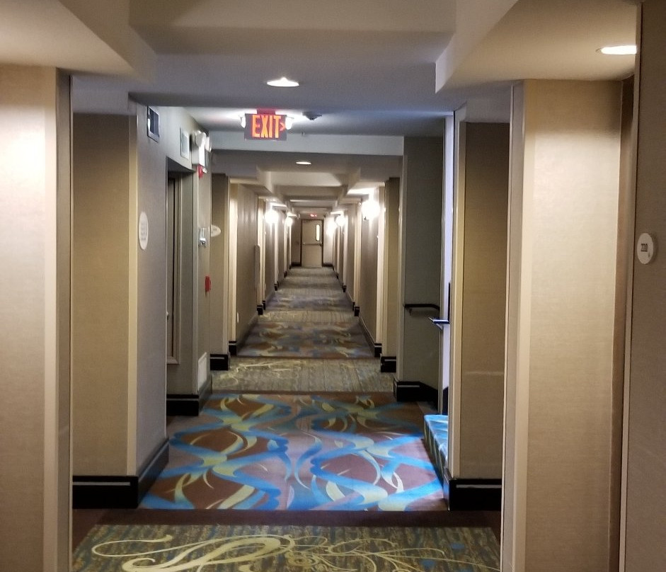 Comfort Inn & Suites I-10 Airport主图